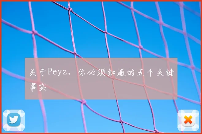 关于Peyz，你必须知道的五个关键事实