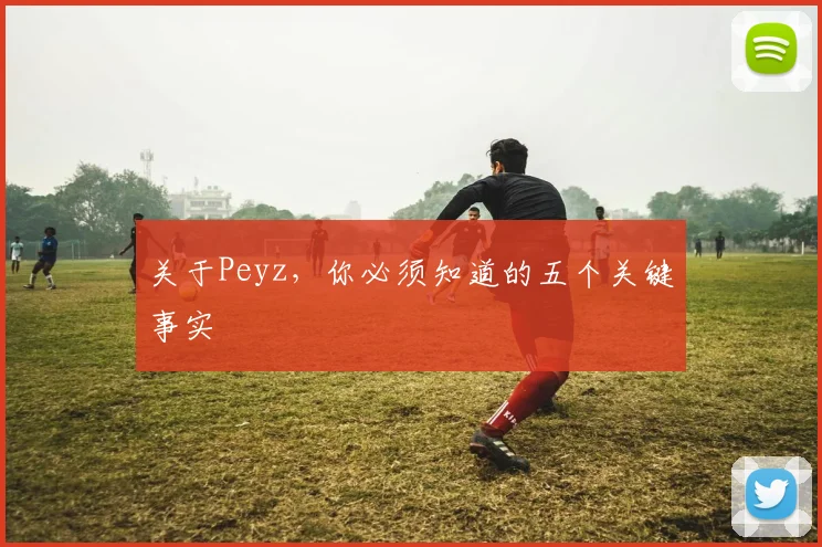 关于Peyz，你必须知道的五个关键事实